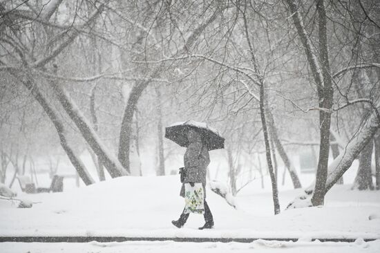 Russia Weather
