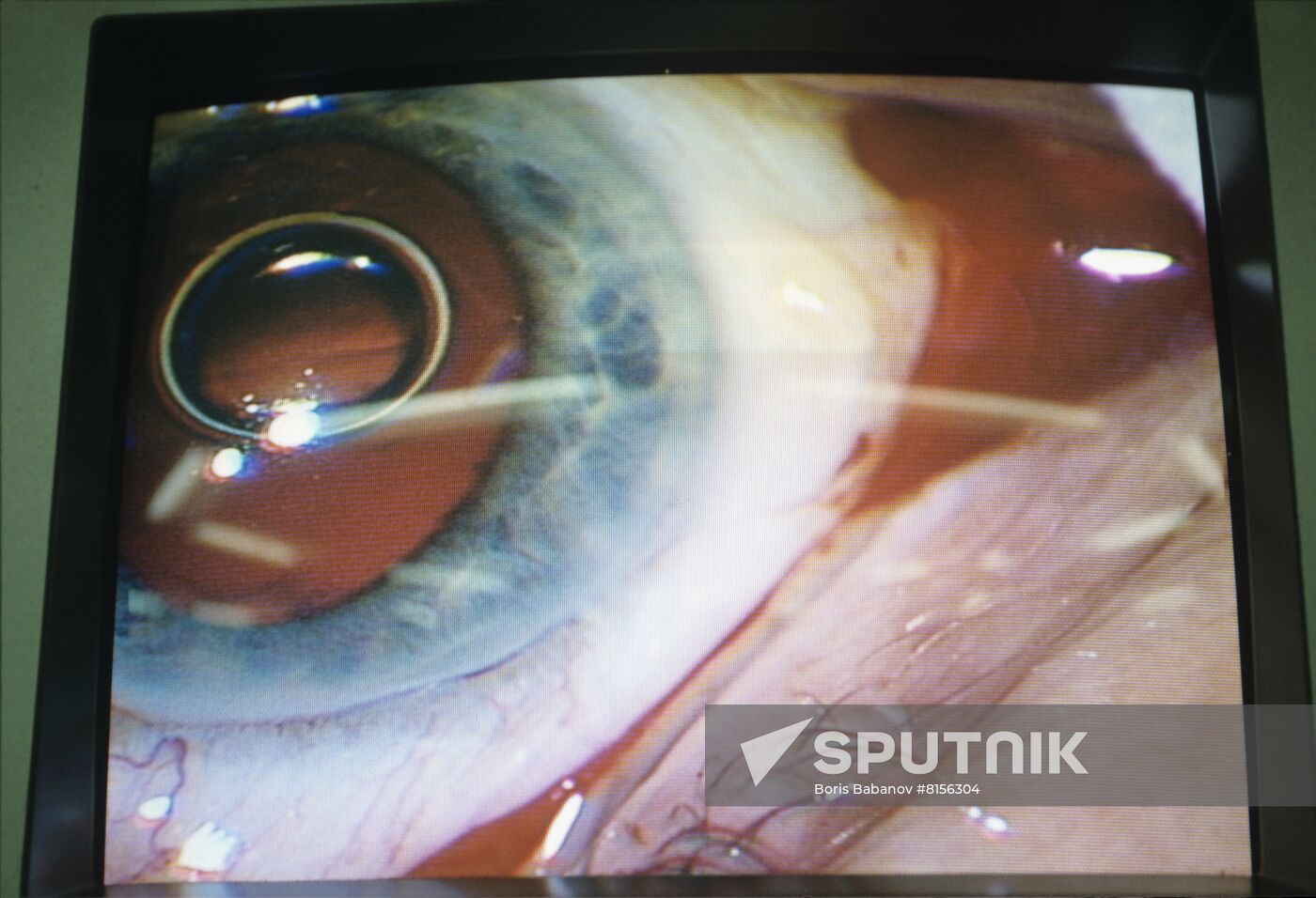 Eye Microsurgery Interdisciplinary Research Institute