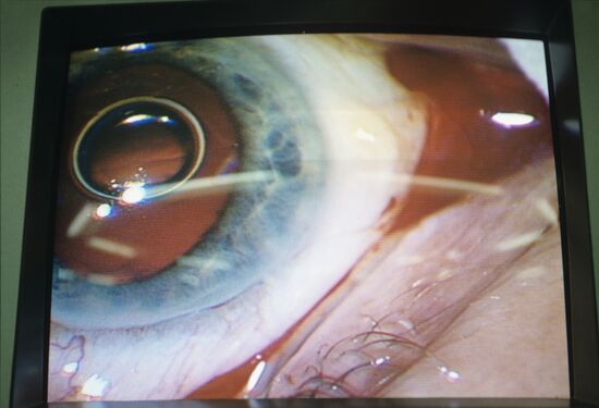 Eye Microsurgery Interdisciplinary Research Institute