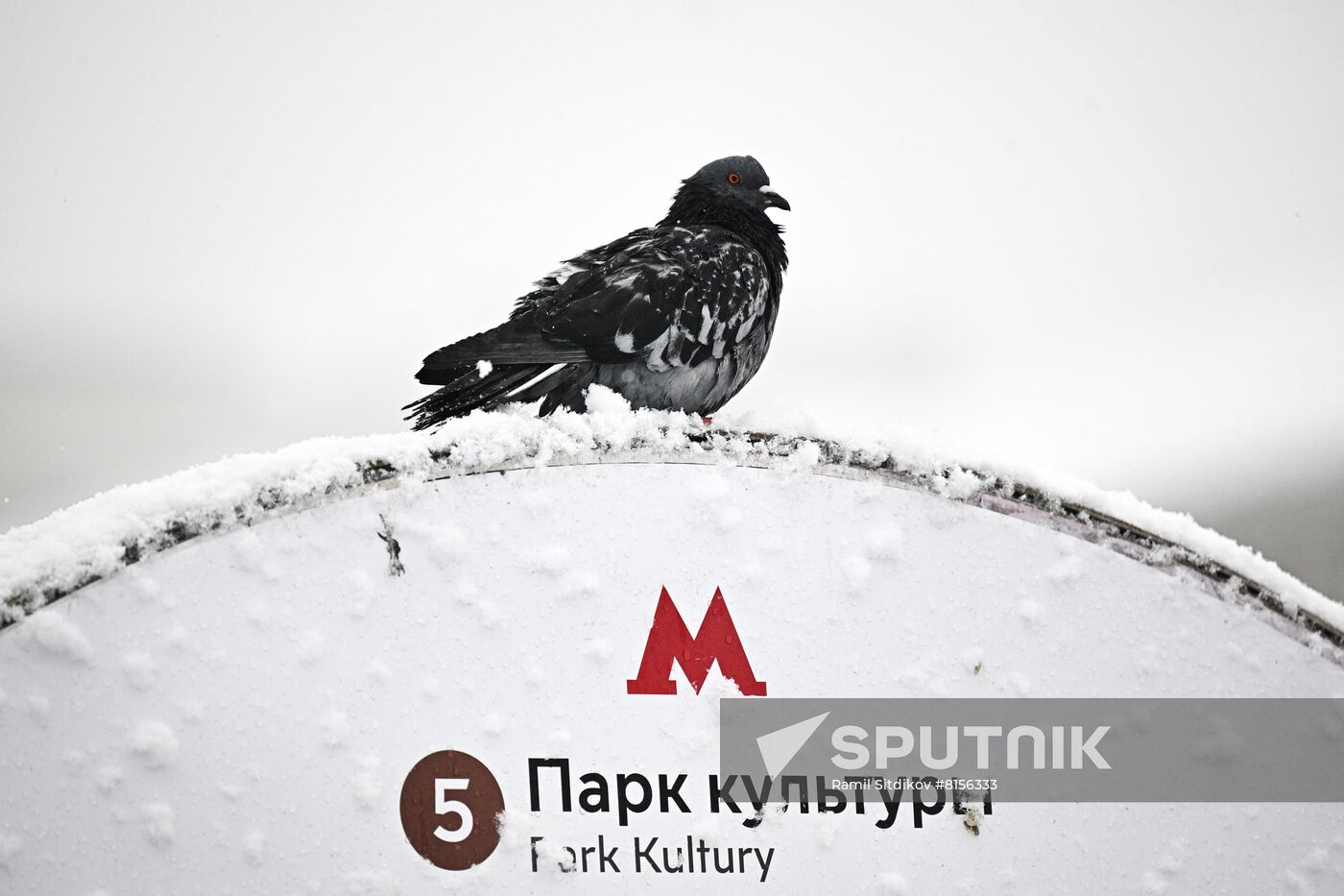 Russia Weather