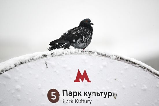 Russia Weather