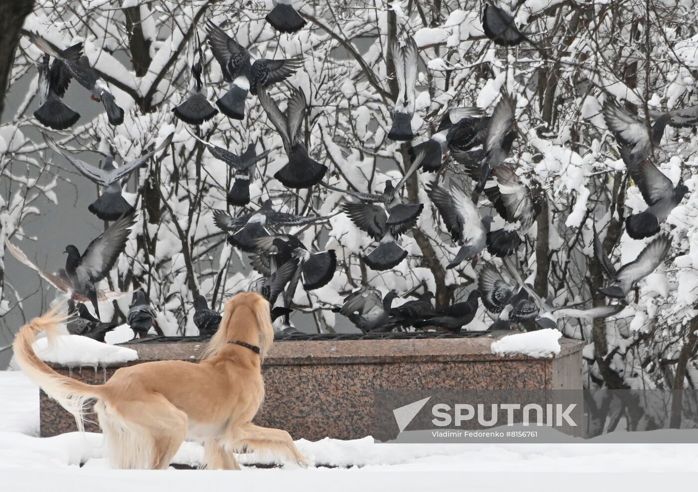 Russia Weather