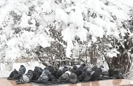 Russia Weather