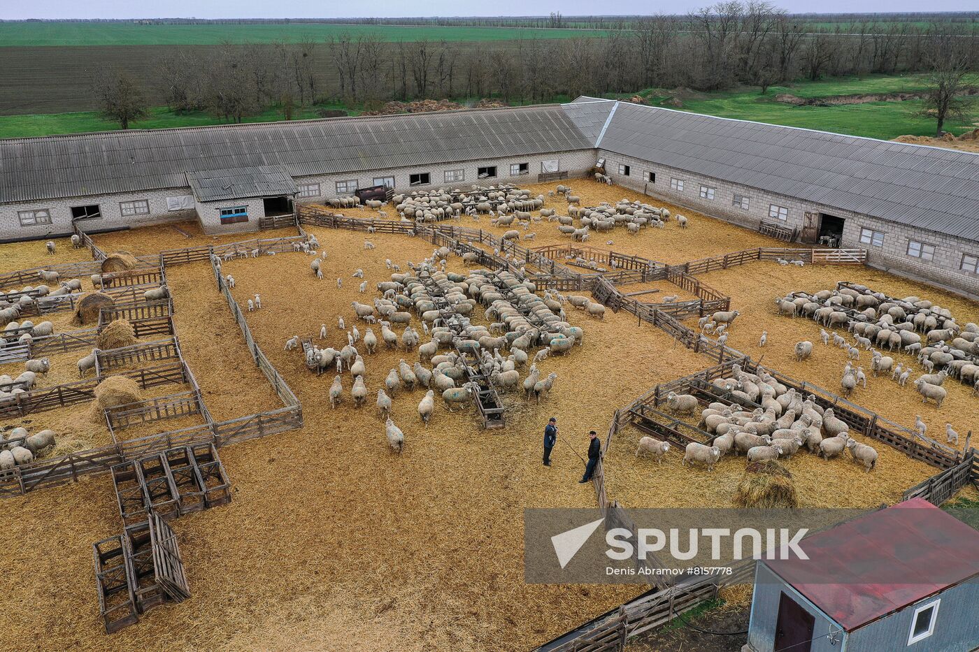 Russia Agriculture Livestock