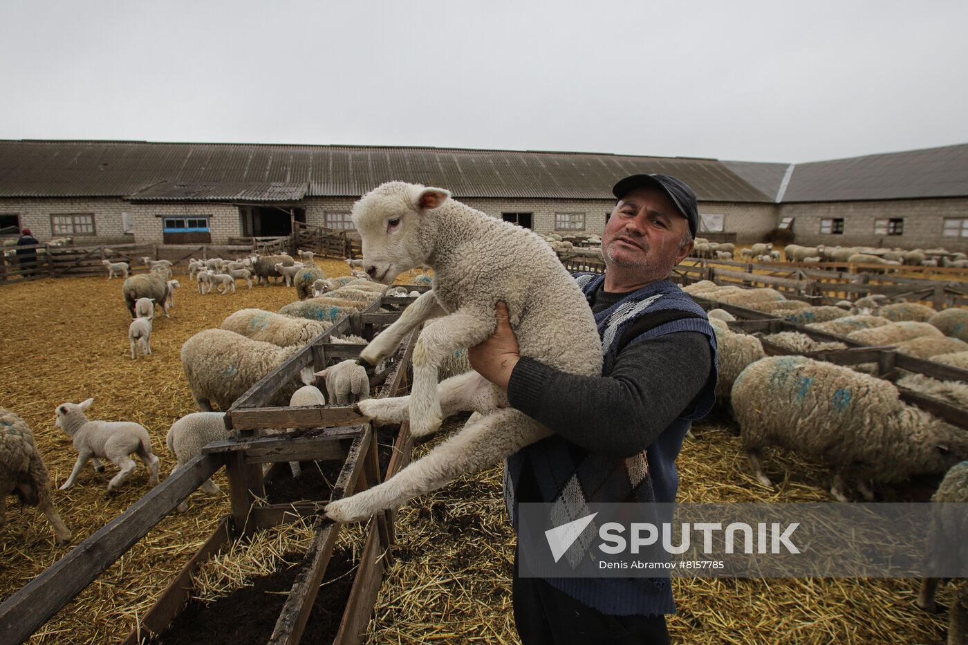 Russia Agriculture Livestock