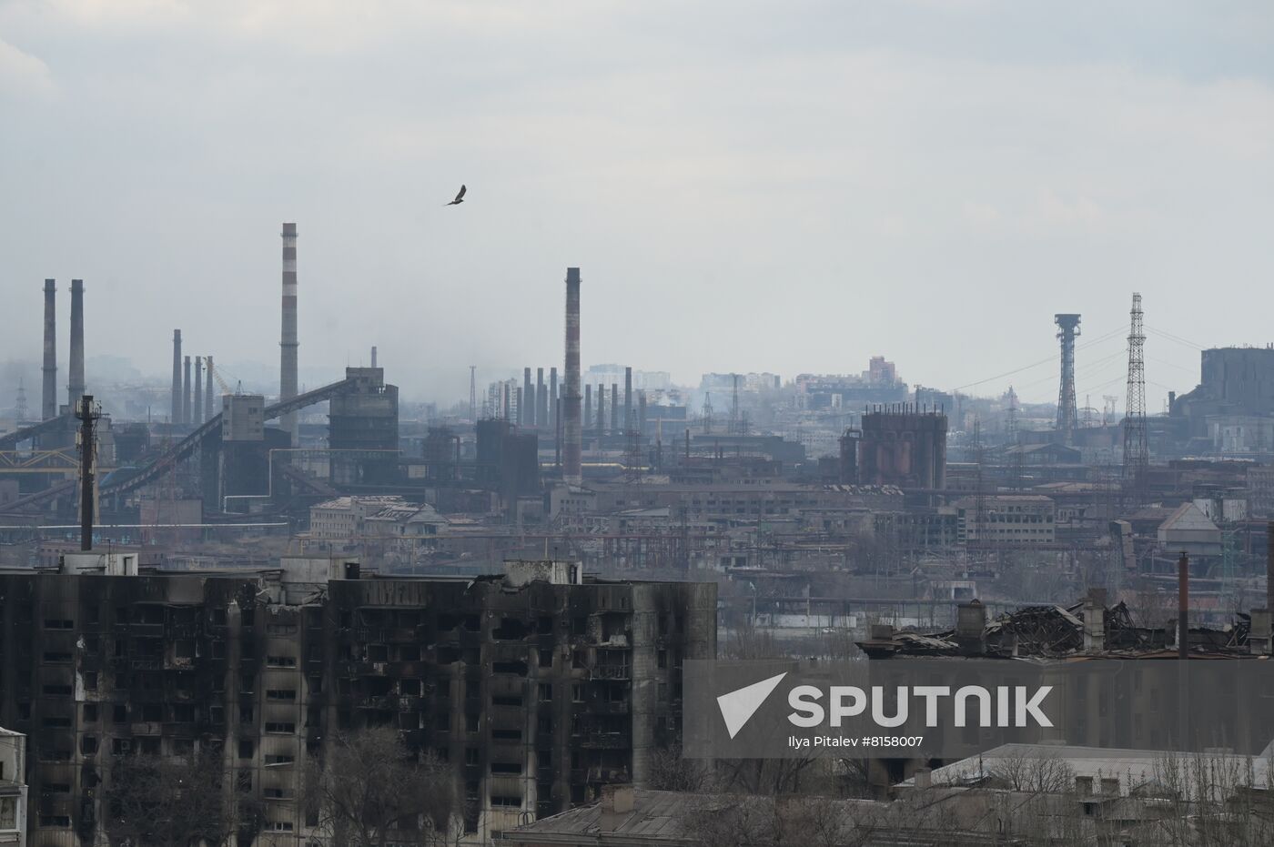 DPR LPR Russia Ukraine Military Operation