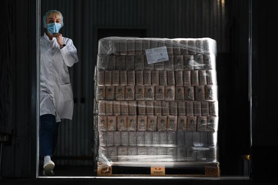 Russia Food Industry