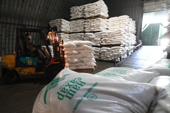 Russia Food Industry