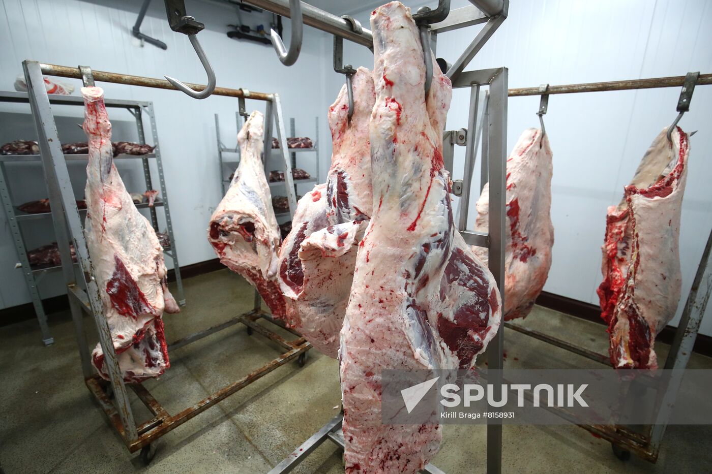 Russia Food Industry