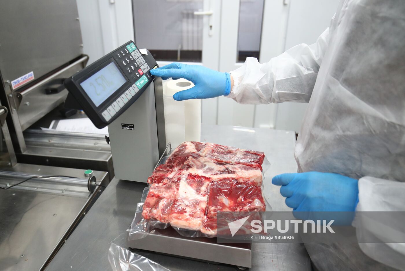 Russia Food Industry