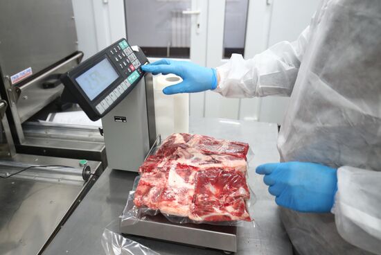 Russia Food Industry