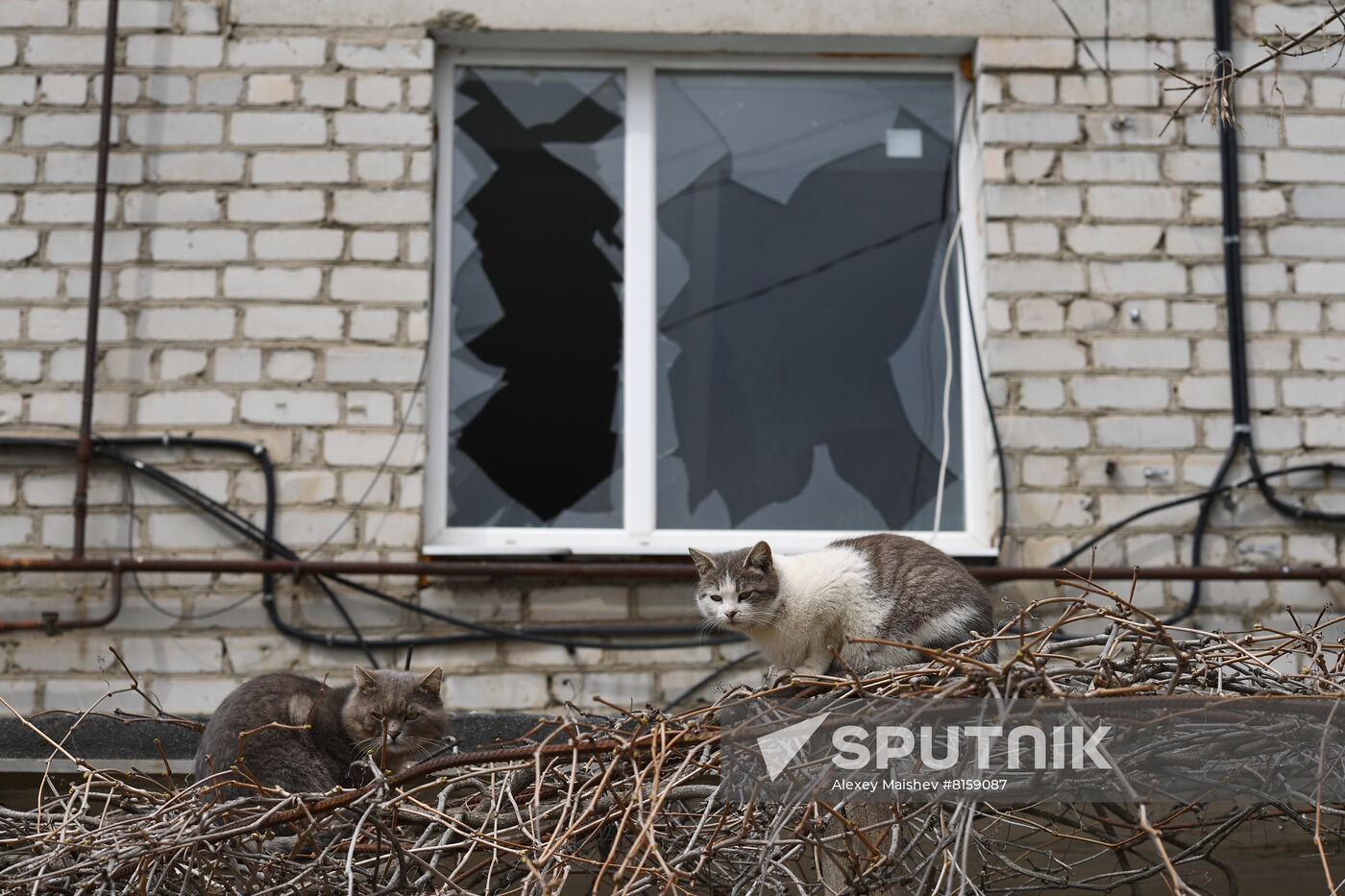 DPR LPR Russia Ukraine Military Operation