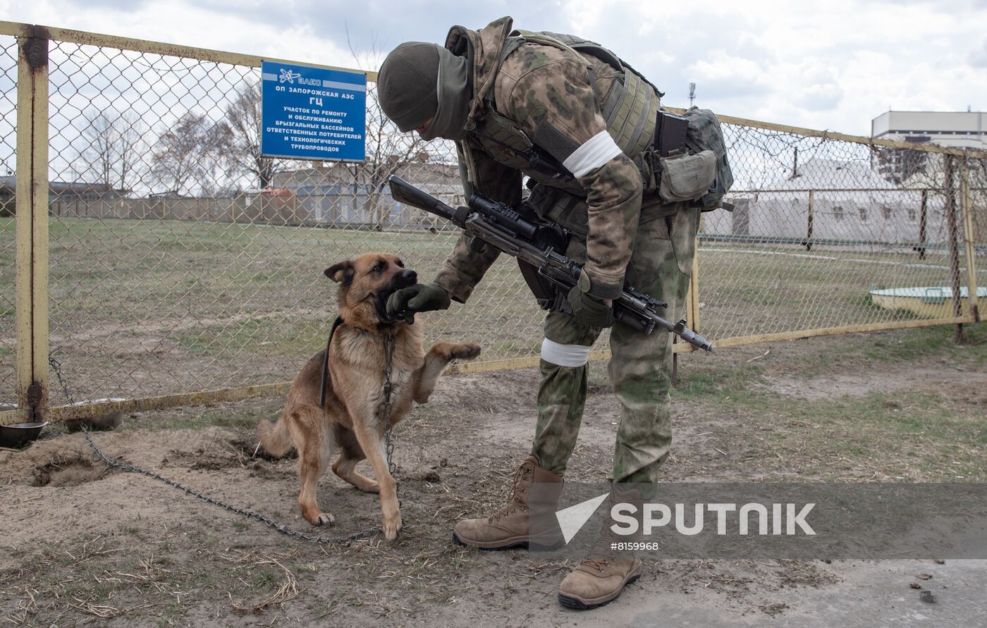 Ukraine Russia Military Operation