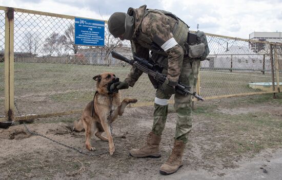 Ukraine Russia Military Operation