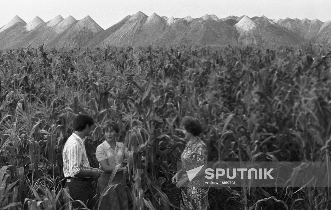 Restoring soil fertility near Kursk Magnet Anomaly