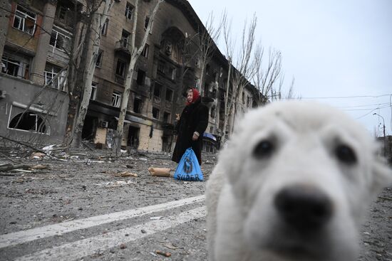 DPR LPR Russia Ukraine Military Operation