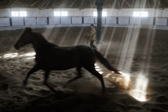 LPR Horse Breeding