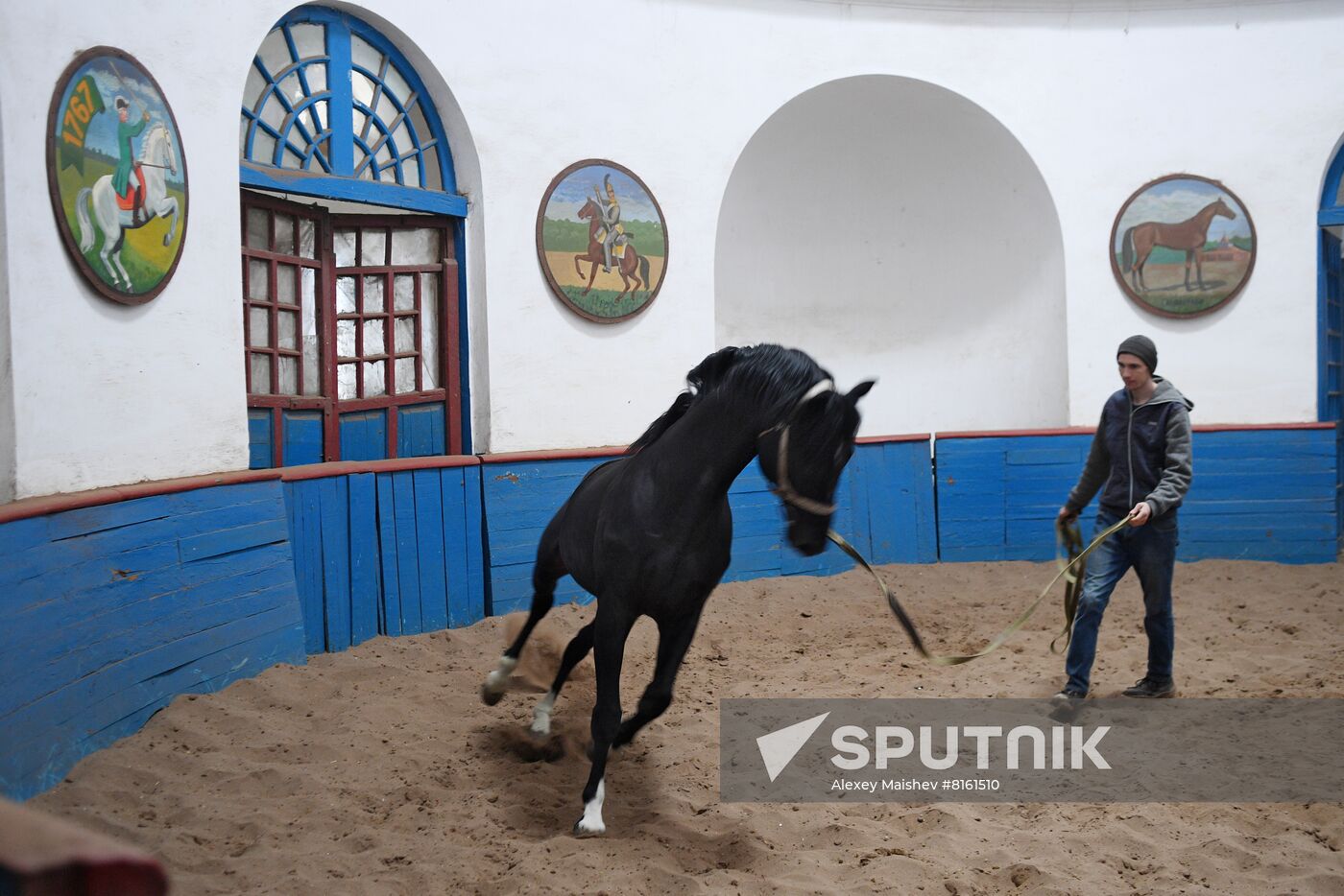 LPR Horse Breeding