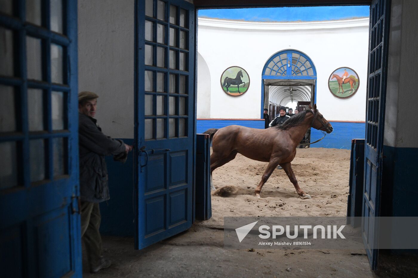 LPR Horse Breeding