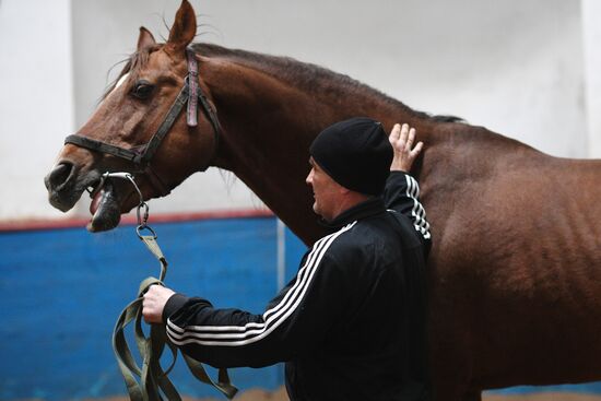 LPR Horse Breeding