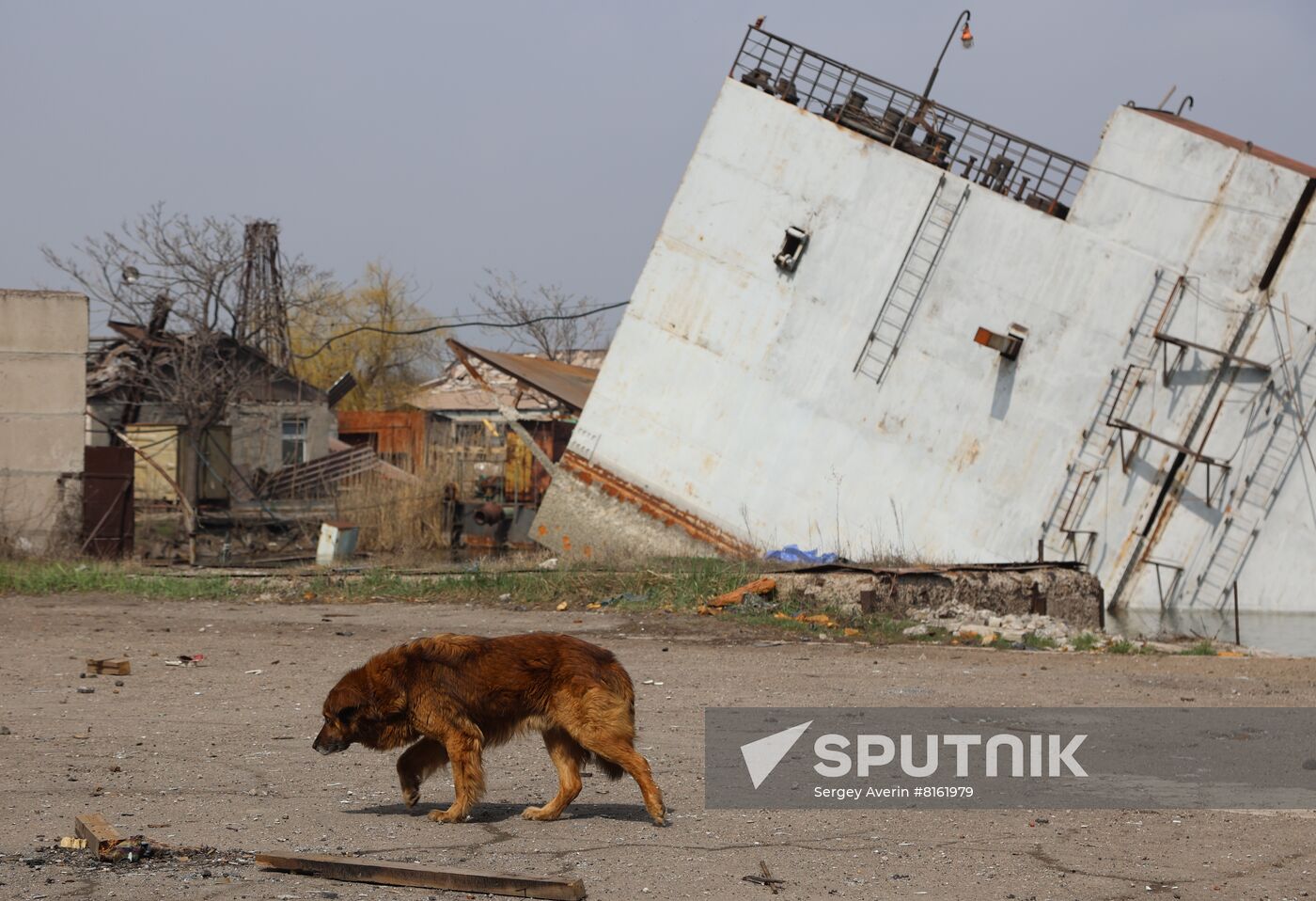 DPR LPR Russia Ukraine Military Operation