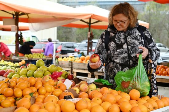 Russia Grocery Market