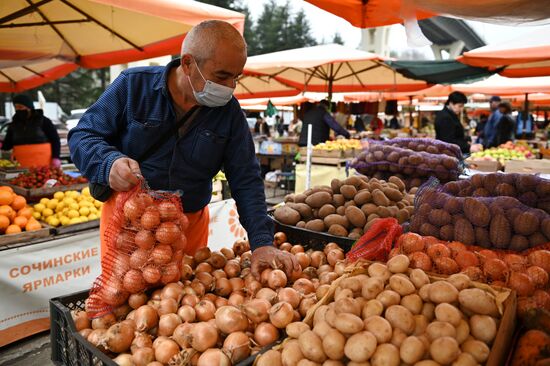 Russia Grocery Market