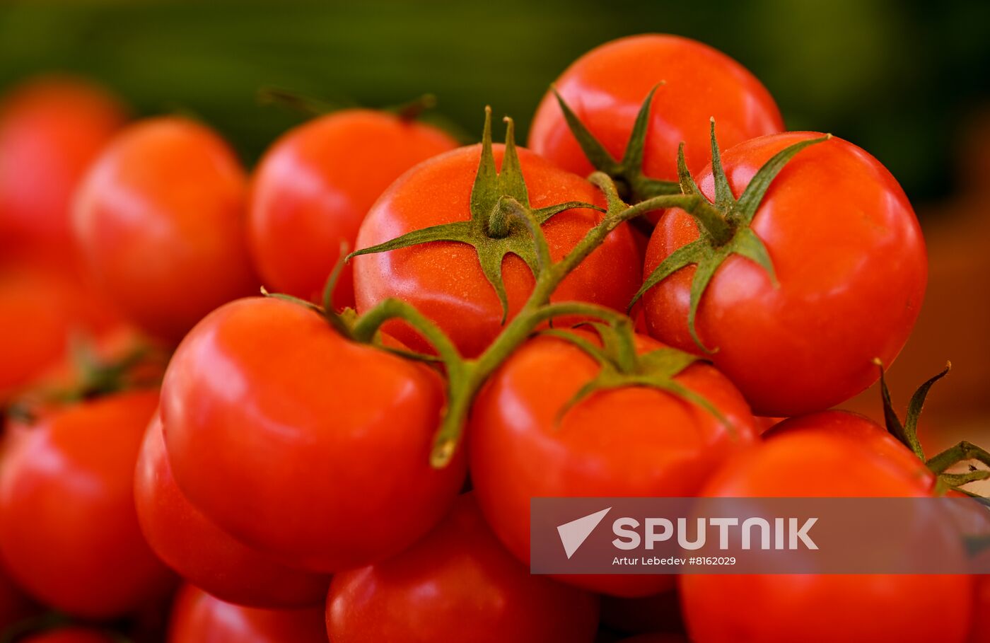 Russia Grocery Market