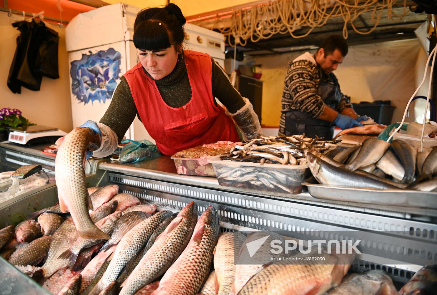 Russia Grocery Market