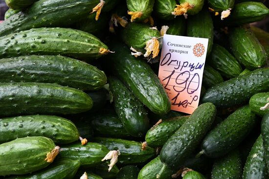 Russia Grocery Market