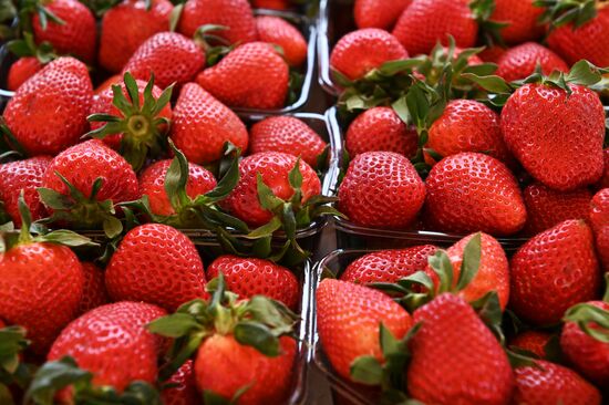 Russia Grocery Market