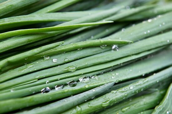 Russia Grocery Market