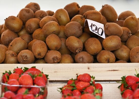 Russia Grocery Market