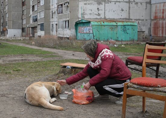 DPR LPR Russia Ukraine Military Operation