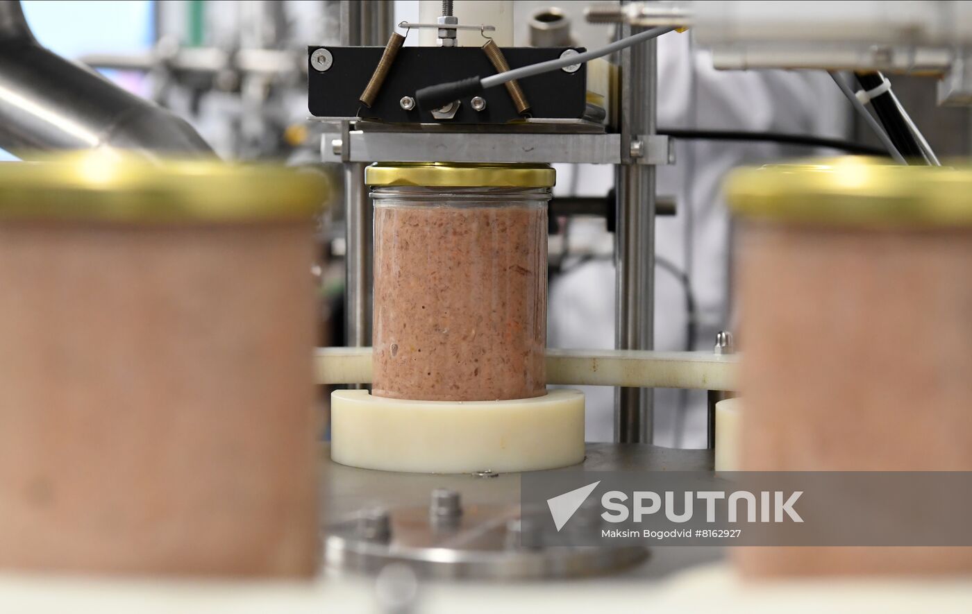 Russia Food Industry