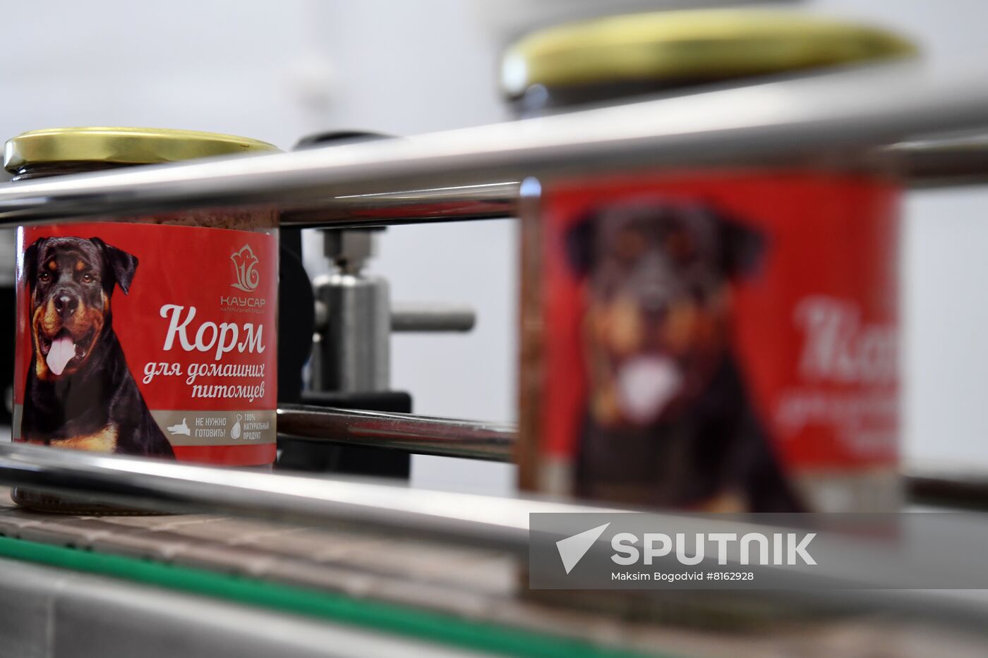 Russia Food Industry