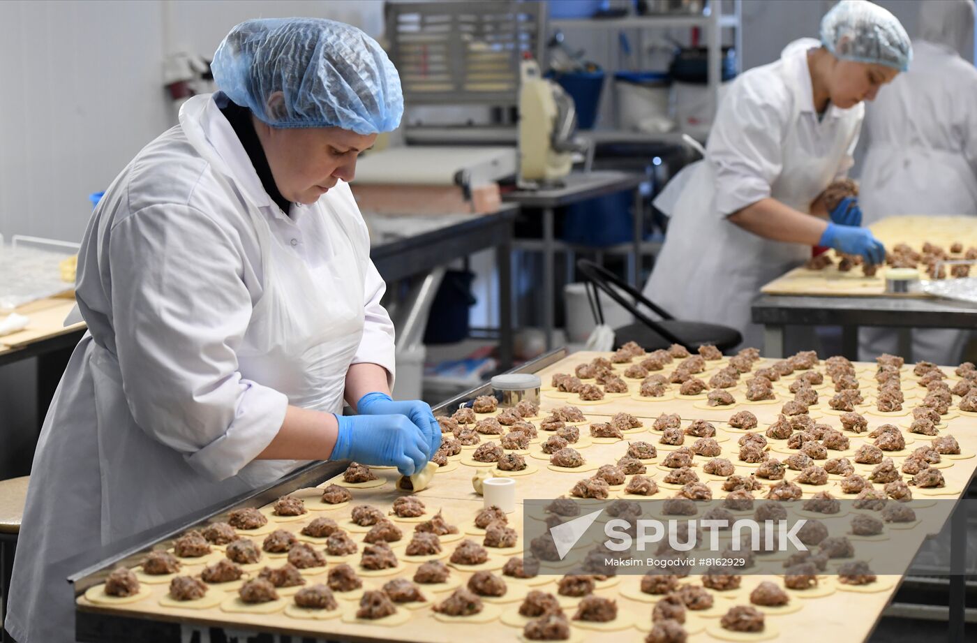 Russia Food Industry