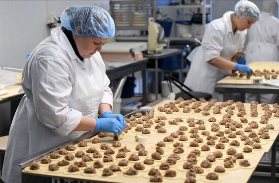 Russia Food Industry