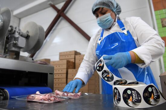 Russia Food Industry