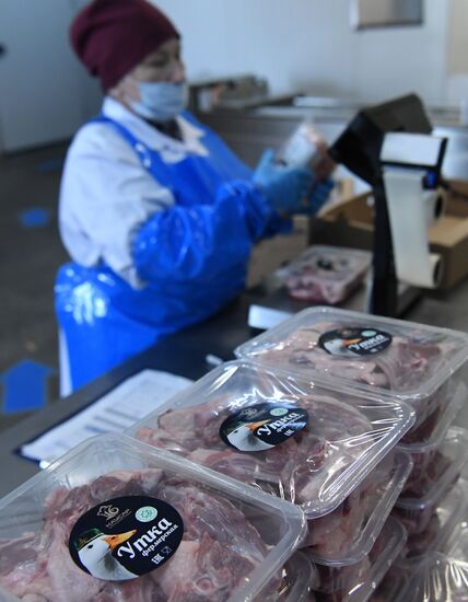 Russia Food Industry