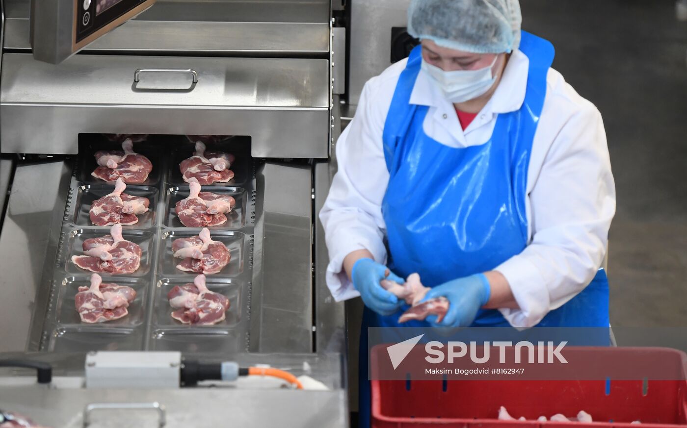 Russia Food Industry