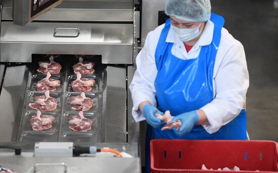 Russia Food Industry