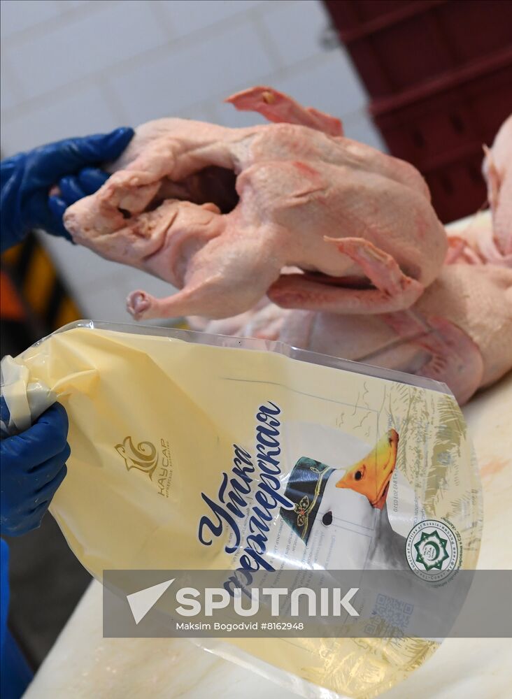 Russia Food Industry
