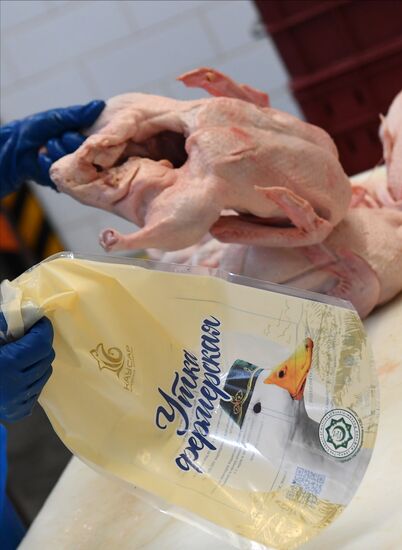 Russia Food Industry