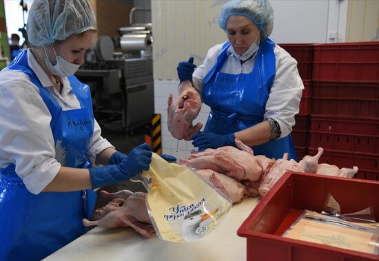 Russia Food Industry