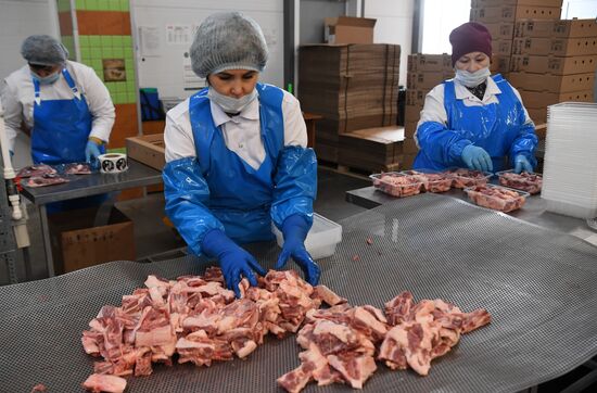 Russia Food Industry