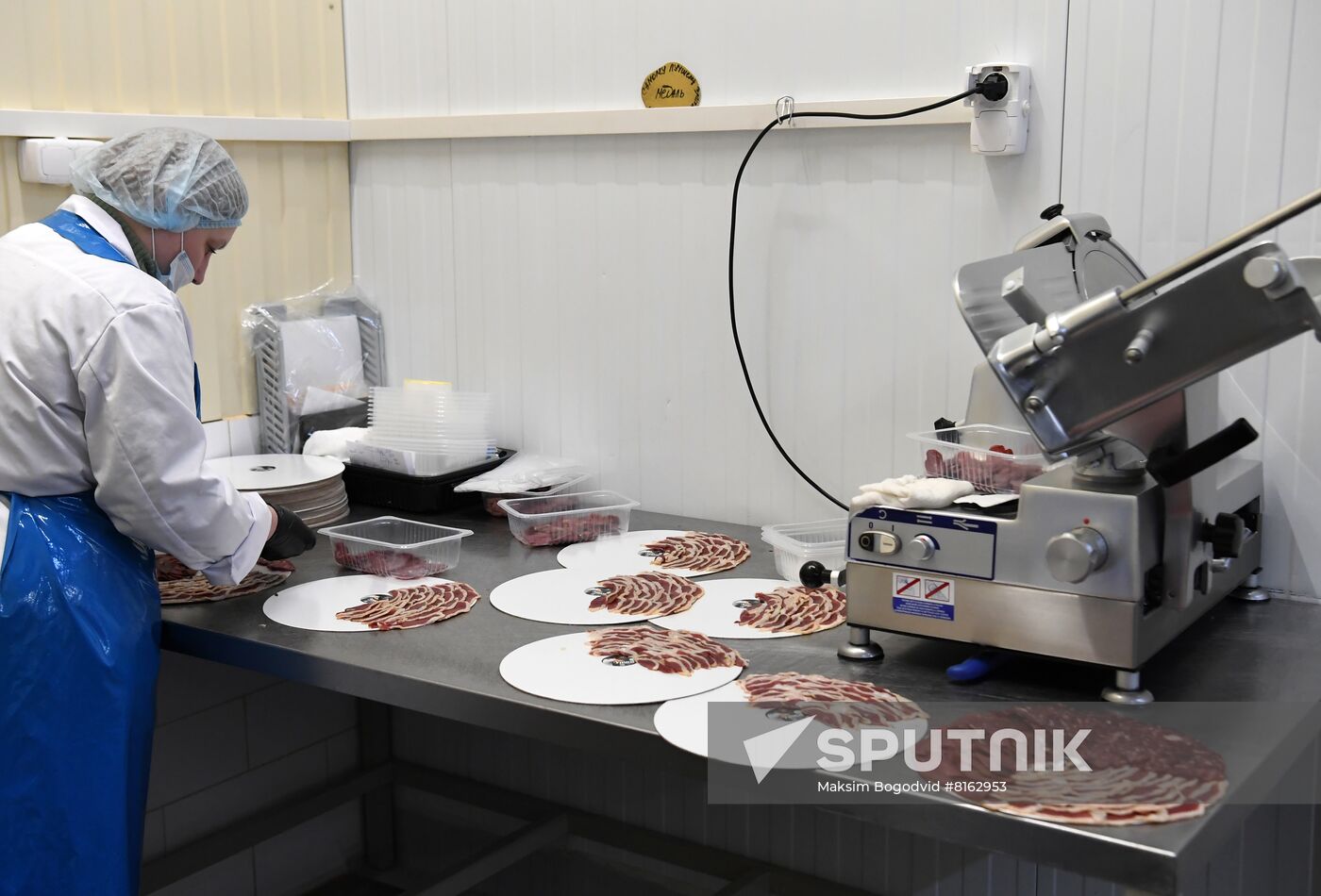 Russia Food Industry