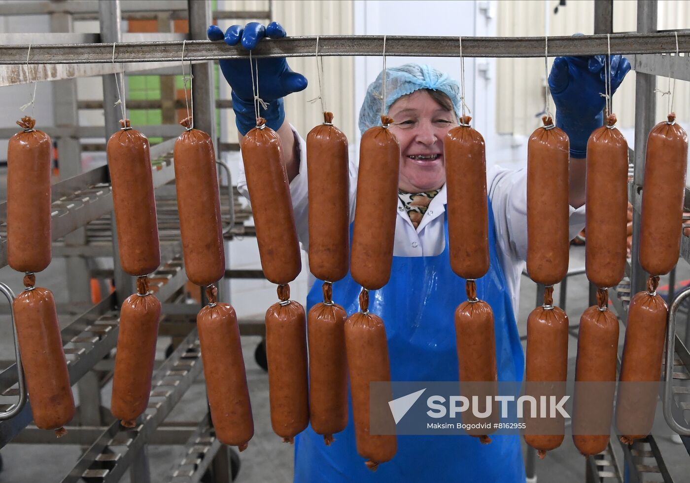 Russia Food Industry