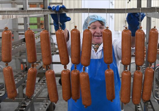 Russia Food Industry