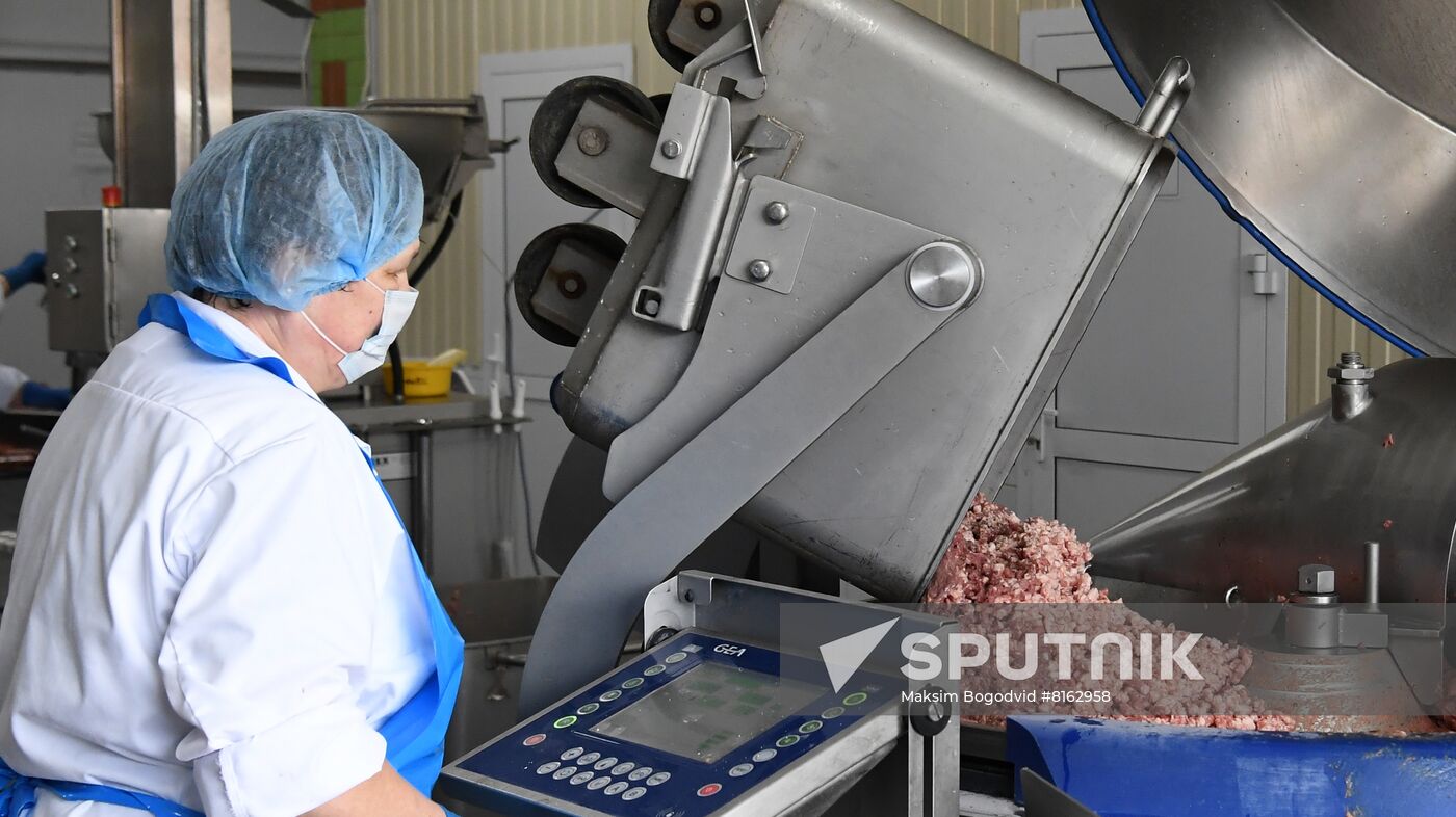 Russia Food Industry